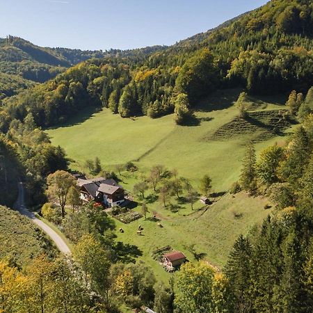 Urlaub Mitten Im Wald - Lueg Scheibbs Esterno foto