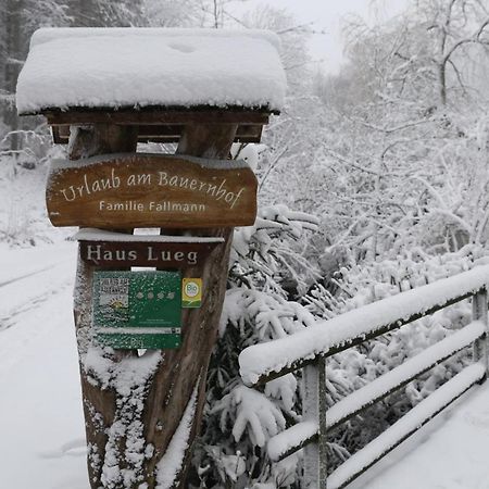 Urlaub Mitten Im Wald - Lueg Scheibbs Esterno foto
