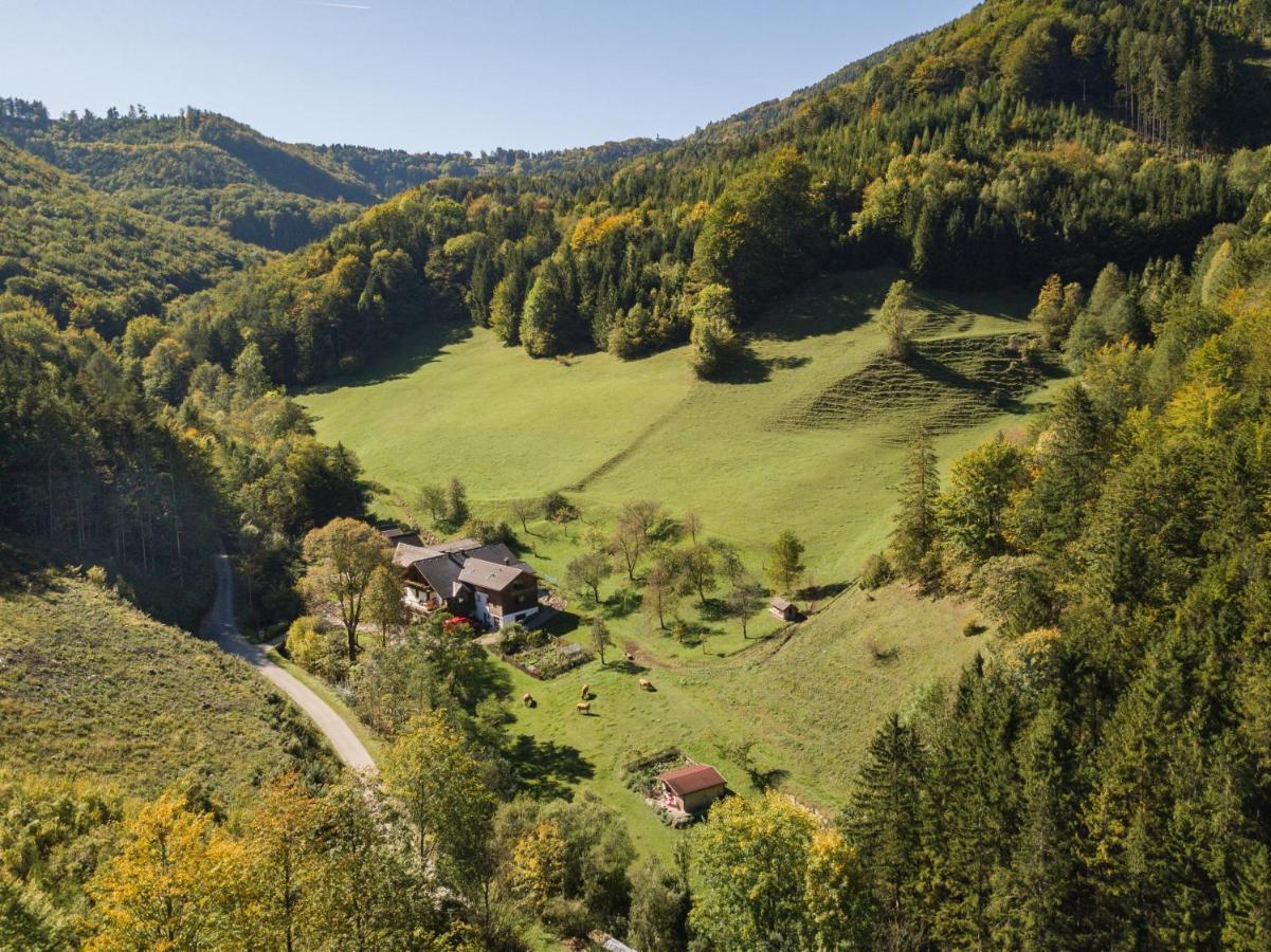 Urlaub Mitten Im Wald - Lueg Scheibbs Esterno foto