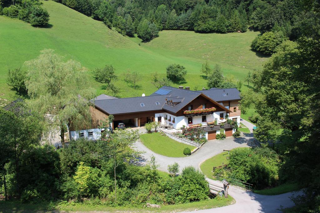 Urlaub Mitten Im Wald - Lueg Scheibbs Esterno foto