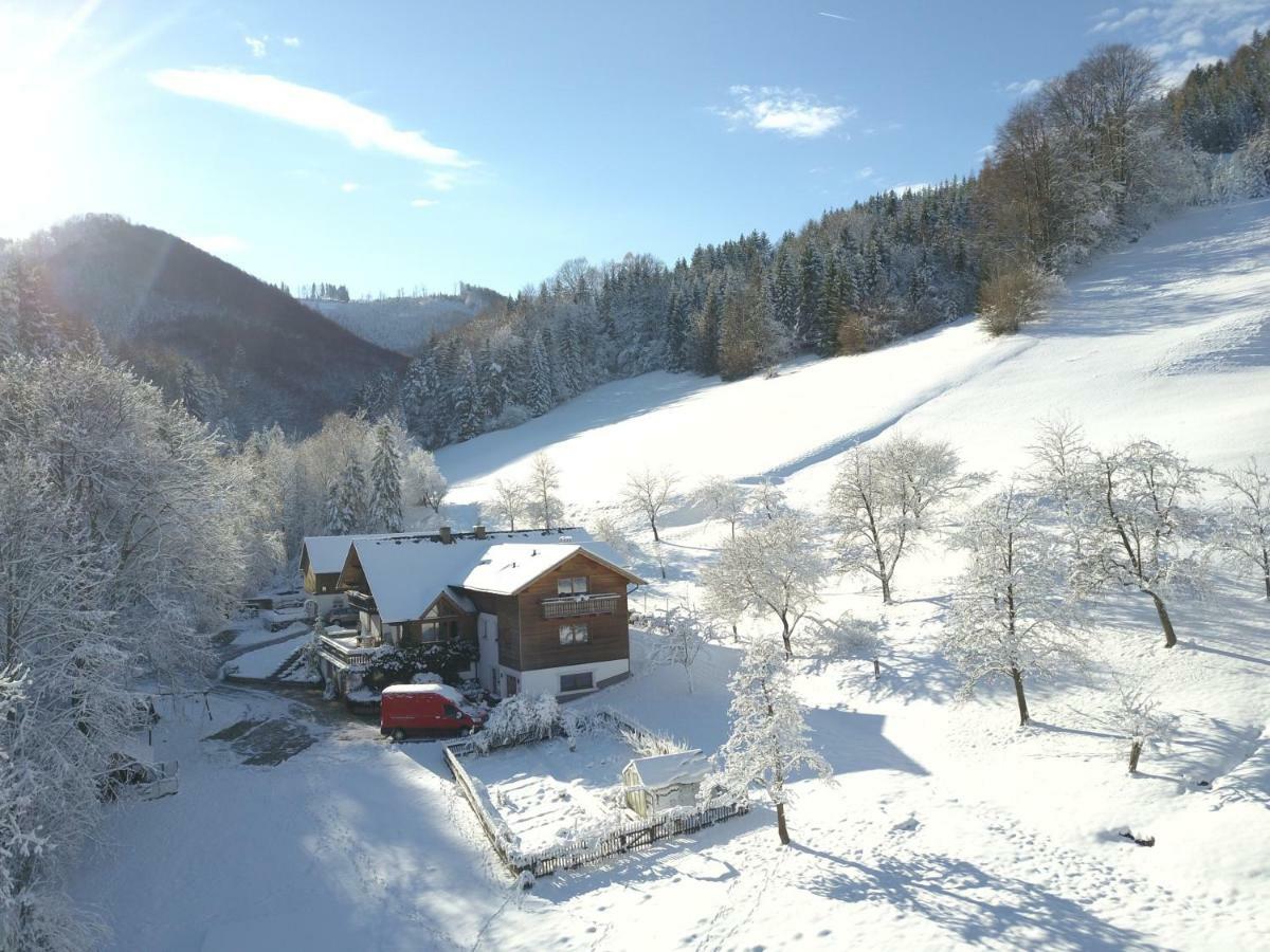 Urlaub Mitten Im Wald - Lueg Scheibbs Esterno foto