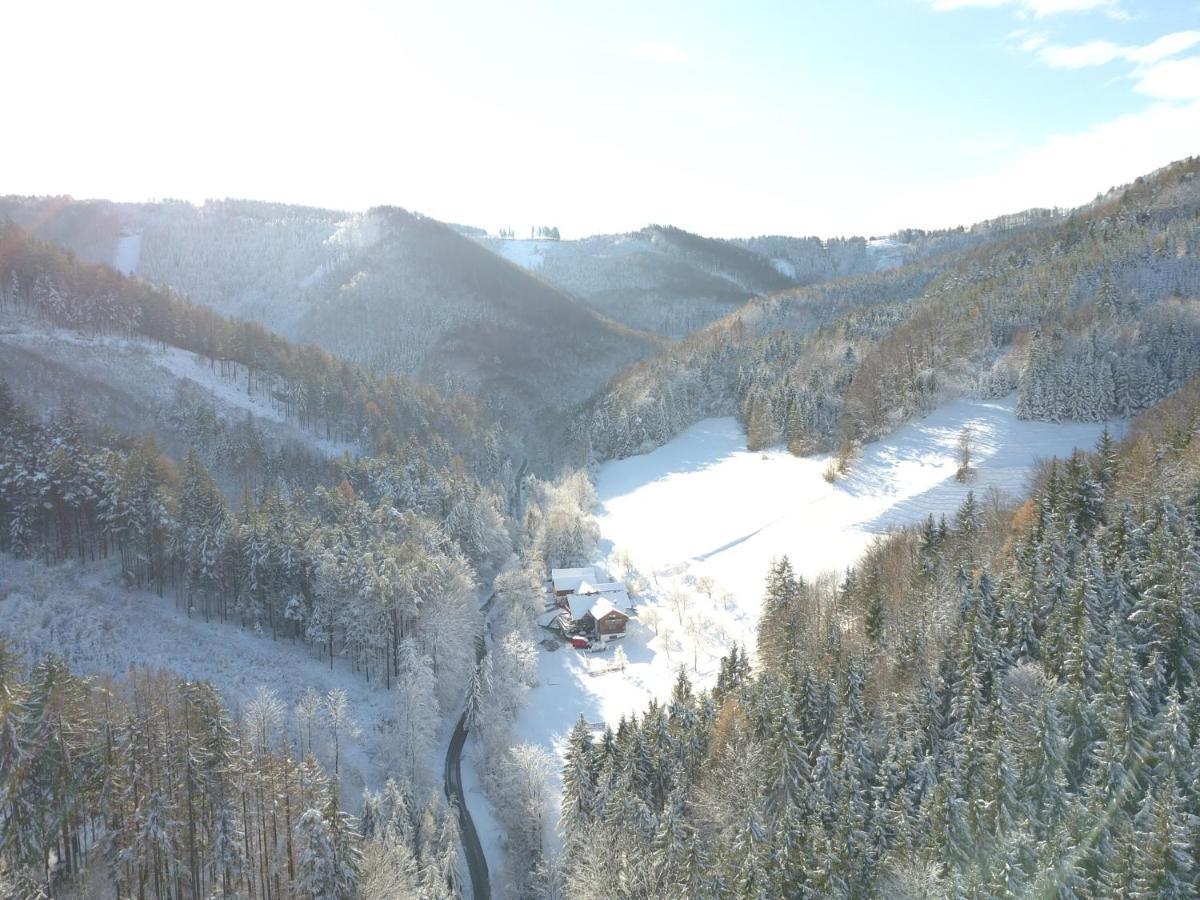 Urlaub Mitten Im Wald - Lueg Scheibbs Esterno foto