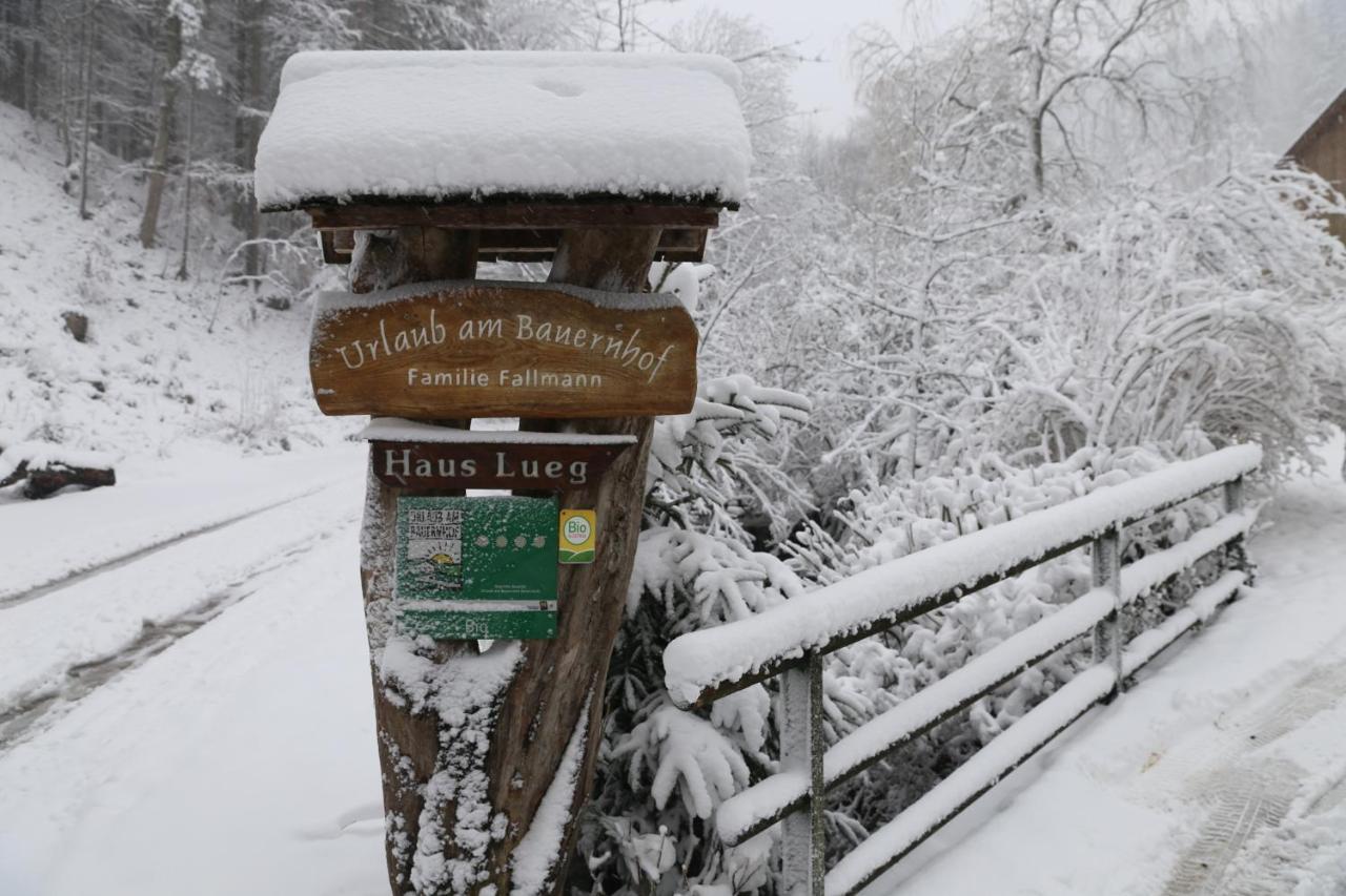 Urlaub Mitten Im Wald - Lueg Scheibbs Esterno foto